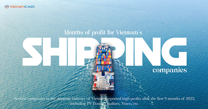 Months of profit for Vietnam’s shipping companies